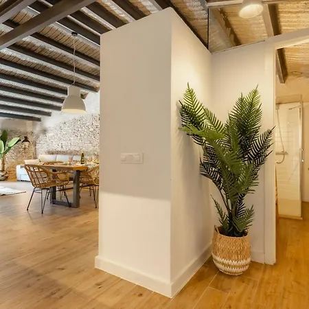 Appartement Bravissimo Placa Del Vi, Design Penthouse *